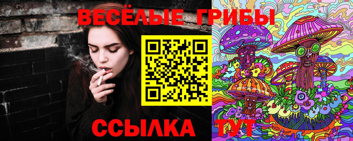Грозный  Псилоцибиновые грибы прущие грибы  купить закладку  Вход с VPN 